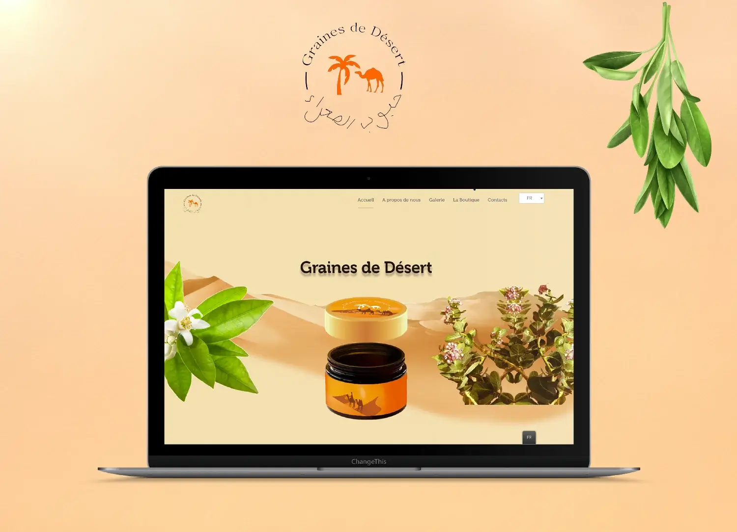 laptop screen show for the website of Graines de Désert project